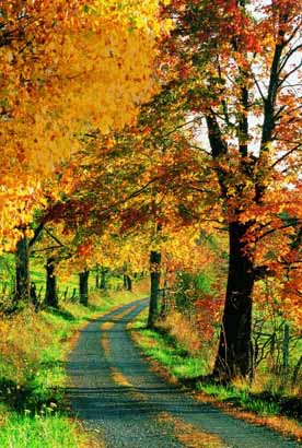 Canada and East Coast - Fall in Bar Harbor, Maine